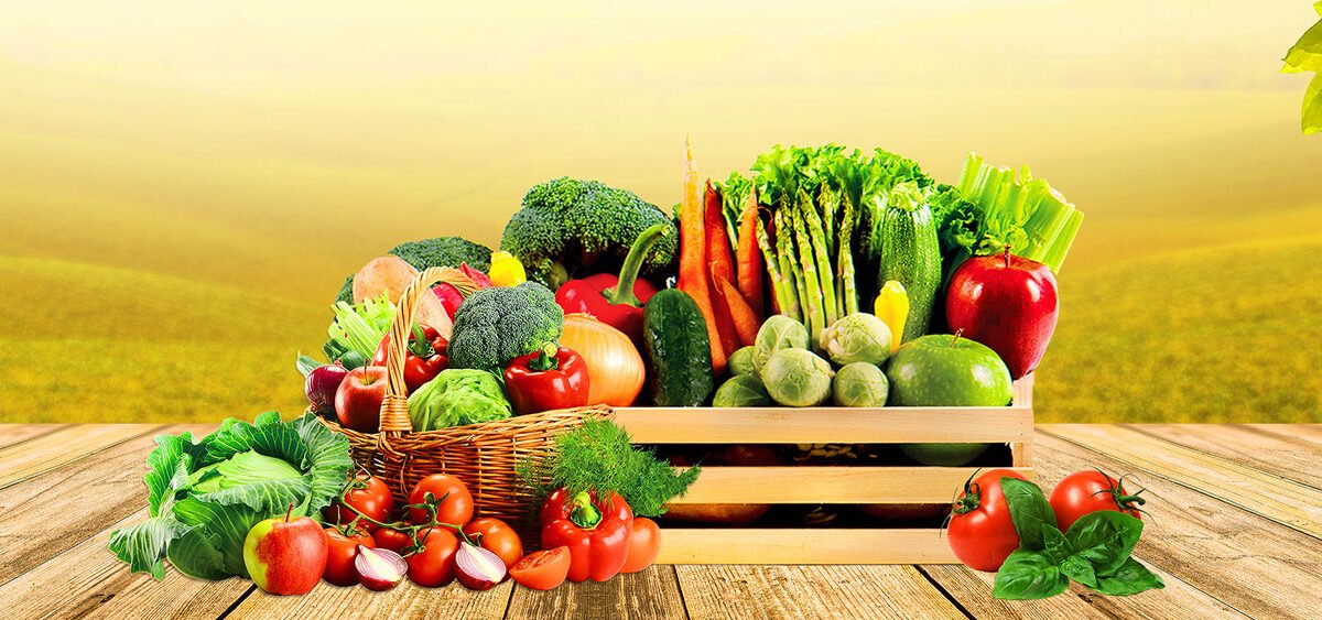 eco global fresh